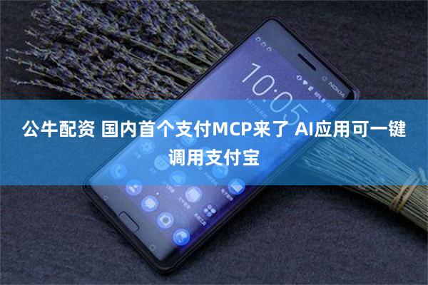 公牛配资 国内首个支付MCP来了 AI应用可一键调用支付宝
