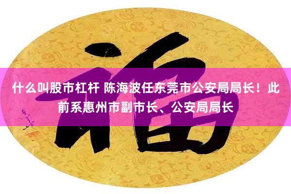 什么叫股市杠杆 陈海波任东莞市公安局局长！此前系惠州市副市长、公安局局长