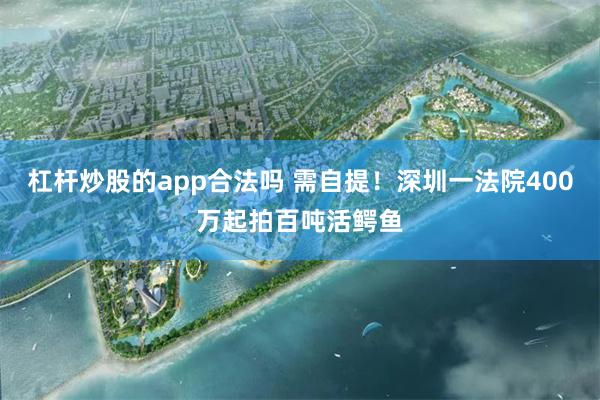 杠杆炒股的app合法吗 需自提！深圳一法院400万起拍百吨活鳄鱼