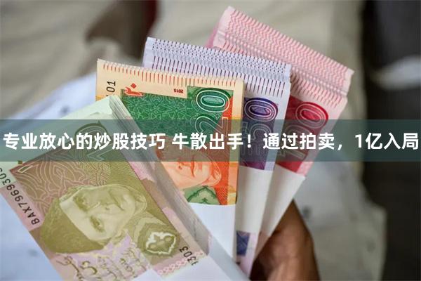 专业放心的炒股技巧 牛散出手！通过拍卖，1亿入局